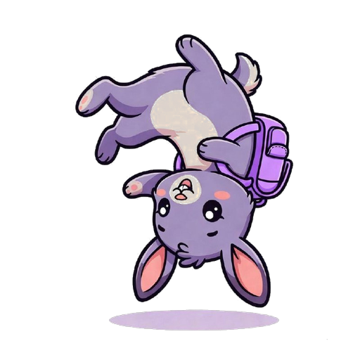 Solly backflip